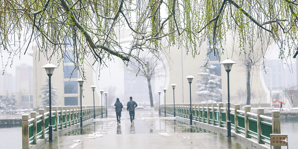 校园春雪